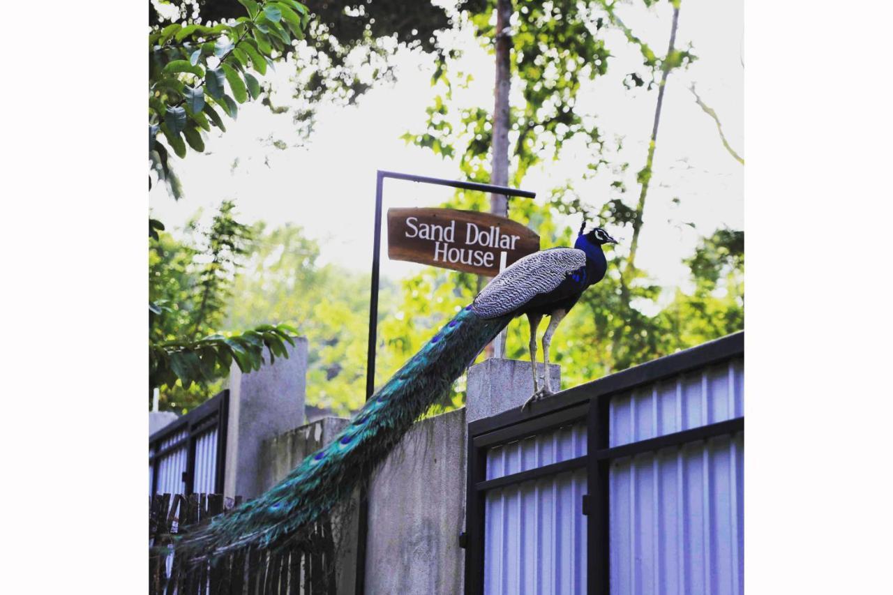 Sand Dollar House, Hiriketiya ดิคเวลลา ภายนอก รูปภาพ