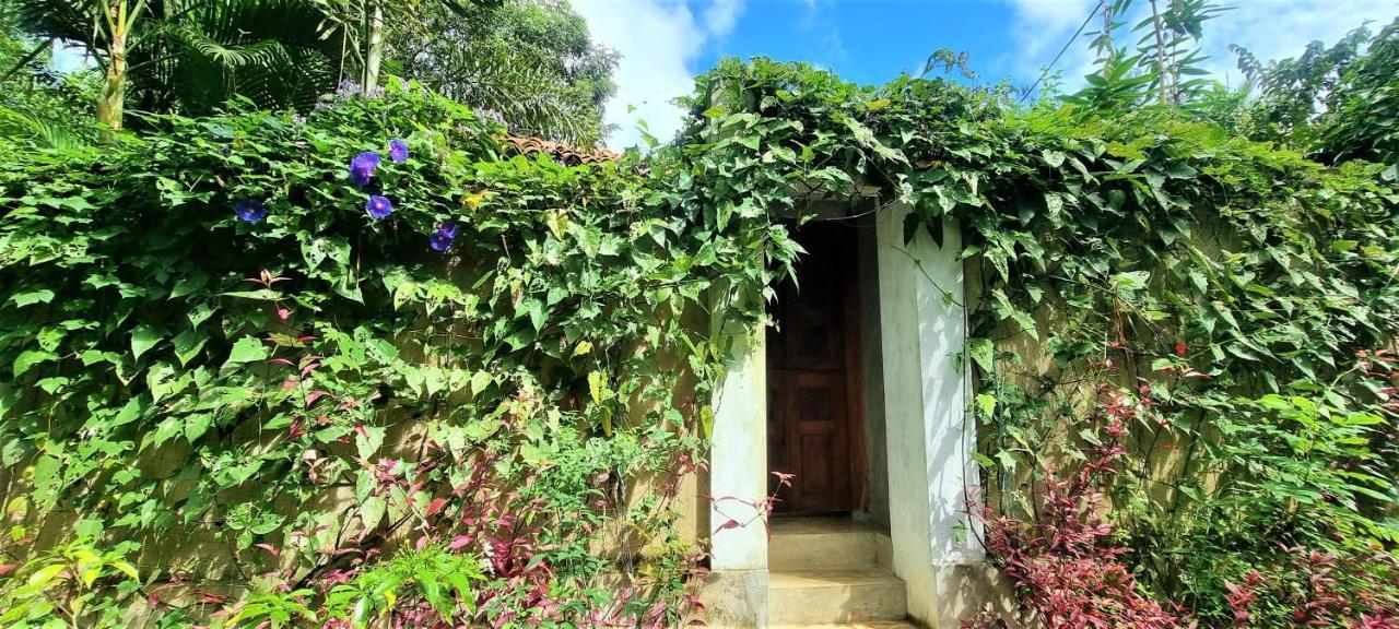 Sand Dollar House, Hiriketiya ดิคเวลลา ภายนอก รูปภาพ