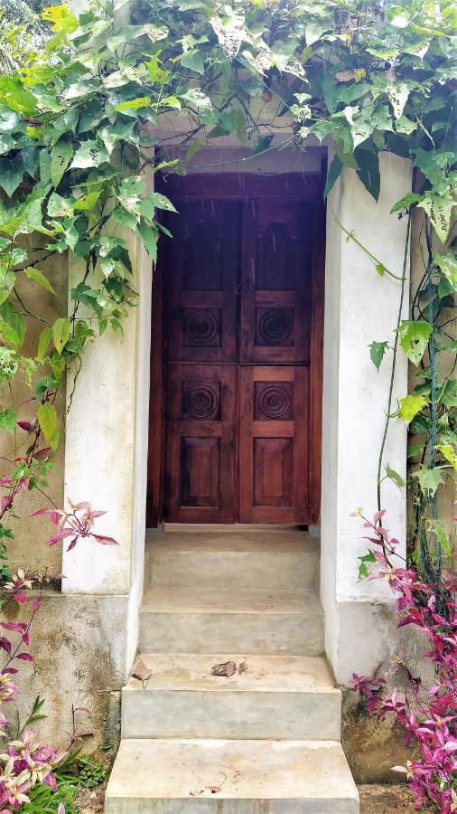 Sand Dollar House, Hiriketiya ดิคเวลลา ภายนอก รูปภาพ